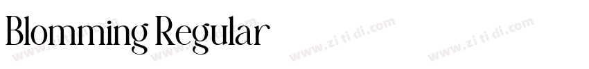 Blomming Regular字体转换